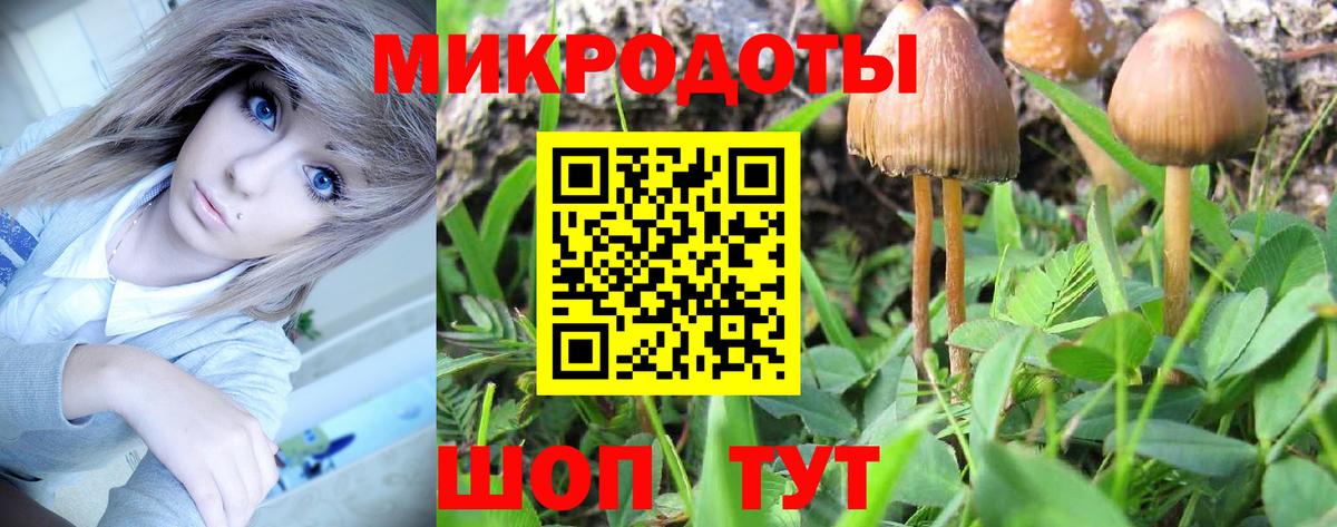 Борзя  Галлюциногенные грибы Cubensis  Псилоцибиновые грибы мицелий  Вход с VPN 